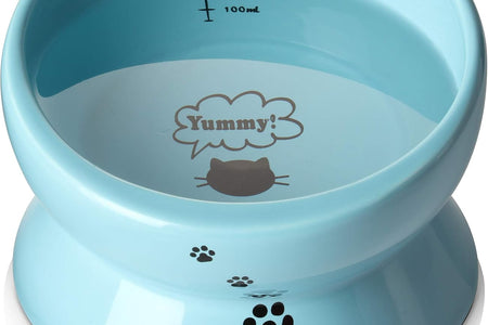 Elevated Cat Food Bowl, Raised Pet Food and Water Bowl, Cat and Small Dog Bowl, Tilted Ceramic Cat Water Bowl No Spill,15Oz, Dishwasher Safe
