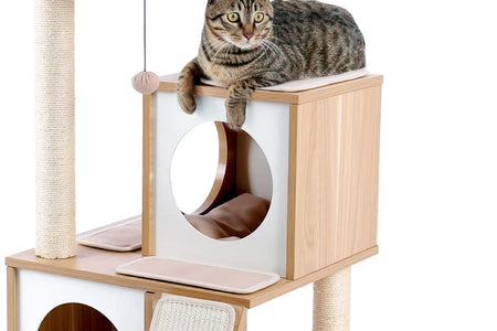 Cat Tree 35 Inches Wooden Cat Tower with Double Condos, Spacious Perch, Fully Wrapped Scratching Sisal Posts and Replaceable Dangling Balls-Walnut