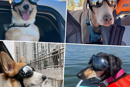 Dog Goggles Large Breed, Large Dog Sunglasses Eye Protection for Dogs Windproof Goggles for Medium Large Dog Riding Biking Driving, Black