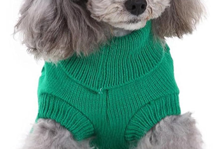 Small Dog Sweaters Knitted Pet Cat Sweater Warm Dog Sweatshirt Dog Winter Clothes Kitten Puppy Sweater (Xx-Small, Green)