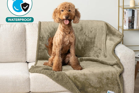 Waterproof Dog Blanket for Bed, Couch, Sofa | Waterproof Dog Bed Cover for Large Dogs, Puppies | Sherpa Fleece Pet Blanket Furniture Protector | Reversible Microfiber