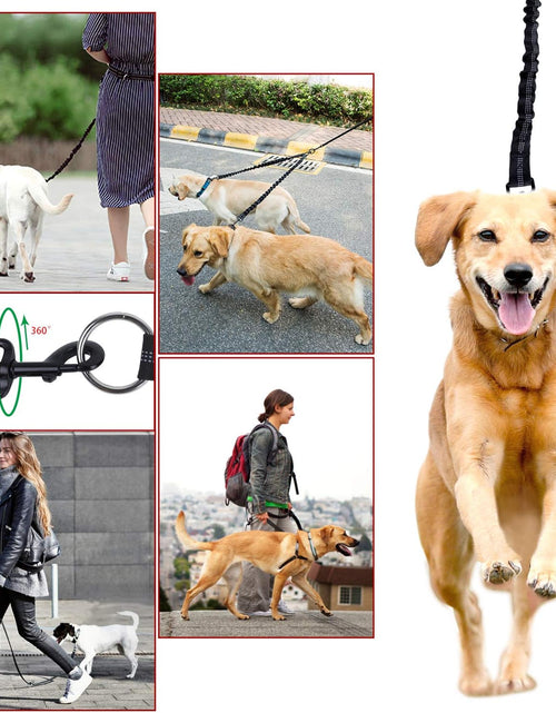 Load image into Gallery viewer, Dual Dog Leash, Double Dog Leash, 360° Swivel No Tangle Dog Walking Leash for 2 Dogs up to 200Lbs, Comfortable Adjustable Dual Padded Handles
