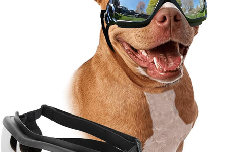 Dog Goggles Large Breed, Large Dog Sunglasses Eye Protection for Dogs Windproof Goggles for Medium Large Dog Riding Biking Driving, Black