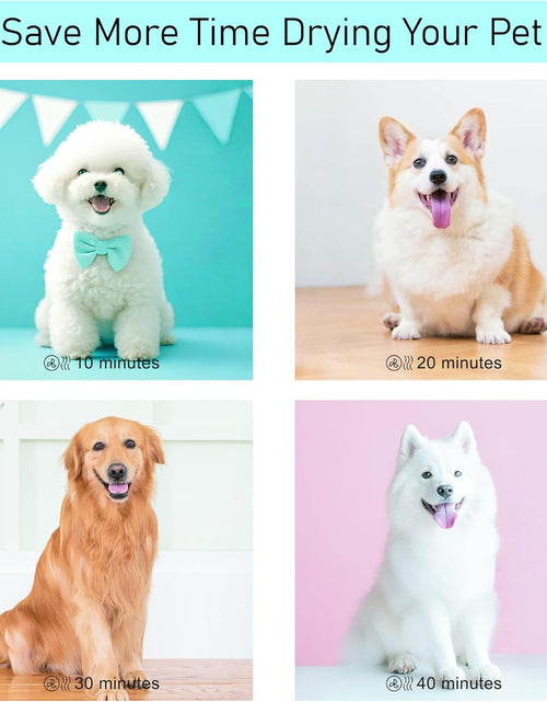 Load image into Gallery viewer, Dog Dryer, Dog Blow Dryer, High Velocity Professional Pet Grooming Dryer, Dog Hair Dryer with Heater, Stepless Adjustable Speed, 3 Different Nozzles and a Comb, Pink
