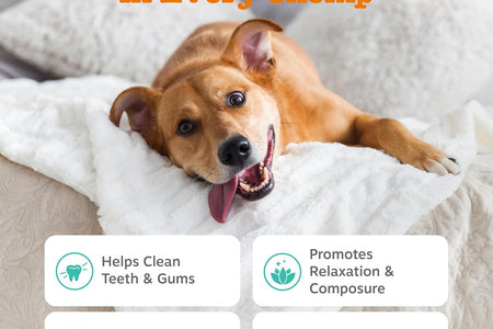 Calming Orastix for Dogs - Dental Sticks for Stress and Anxiety Relief with Hemp Melatonin Chamomile Dog Tartar Teeth Cleaning Calm Composure for Fireworks and Thunderstorms