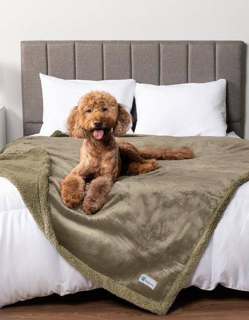 Load image into Gallery viewer, Waterproof Dog Blanket for Bed, Couch, Sofa | Waterproof Dog Bed Cover for Large Dogs, Puppies | Sherpa Fleece Pet Blanket Furniture Protector | Reversible Microfiber
