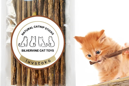 Cat Toys - Silvervine & Matatabi Catnip Toys, 10PCS Indoor Kitty Chew Sticks & Wand Toys for Bored Cats
