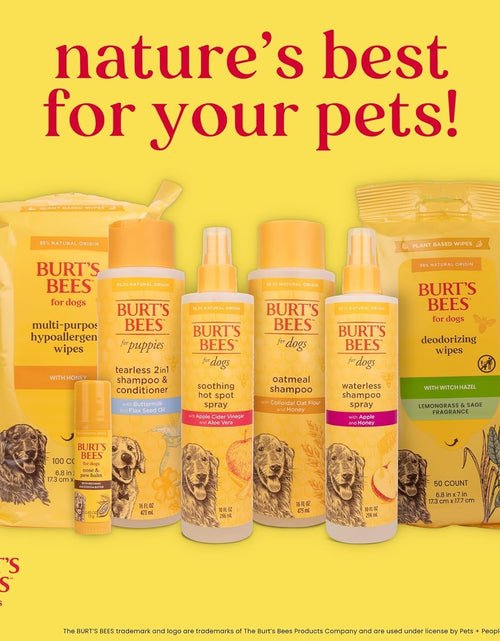 Load image into Gallery viewer, Burt'S Bees for Dogs Deodorizing Dog Shampoo and Dog Deodorizing Spray, Apple &amp; Rosemary Dog Shampoo, Natural Dog Shampoo, Puppy Shampoo, Dog Bathing Supplies, Dog Wash, Pet Shampoo
