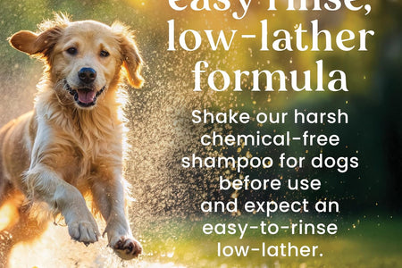 Burt'S Bees for Dogs Deodorizing Dog Shampoo and Dog Deodorizing Spray, Apple & Rosemary Dog Shampoo, Natural Dog Shampoo, Puppy Shampoo, Dog Bathing Supplies, Dog Wash, Pet Shampoo