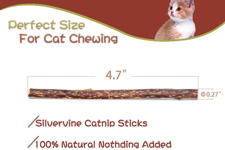 Cat Toys - Silvervine & Matatabi Catnip Toys, 10PCS Indoor Kitty Chew Sticks & Wand Toys for Bored Cats