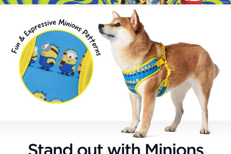 Dog Harness, Small, Blue  in a Row | Comfortable Mesh No-Pull Dog Harness| Gifts for  Fans and Their Pets | Officially Licensed Pet Product from Universal Studios