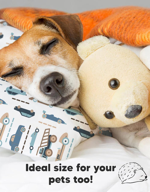 Load image into Gallery viewer, Toddler Pillow with Pillowcase - 13X18 My Little Dreamy Pillow, Organic Cotton Toddler Pillows for Sleeping, Kids Pillow, Travel Pillows, Mini Pillow, Nursery Pillow, Toddler Bed Pillow (Vroom)
