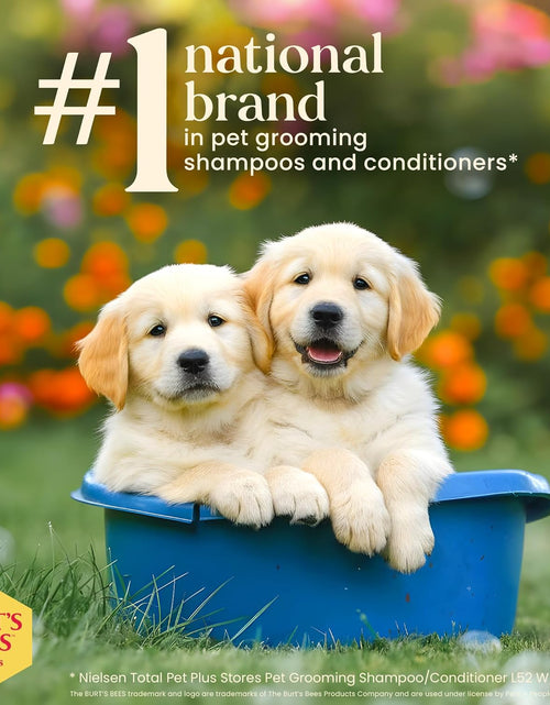 Load image into Gallery viewer, Tearless Puppy Shampoo with Buttermilk, 32Oz | Puppy &amp; Dog Shampoo | Cruelty Free, Paraben &amp; Sulfate Free Shampoo, Natural Shampoo for Dogs, Dog Wash, Dog Soap, Pet Shampoo
