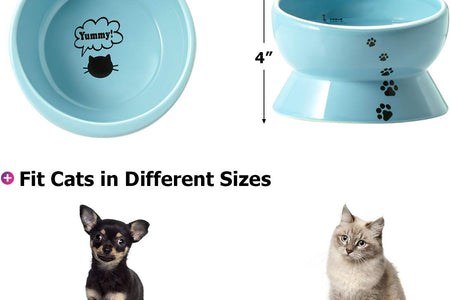 Elevated Cat Food Bowl, Raised Pet Food and Water Bowl, Cat and Small Dog Bowl, Tilted Ceramic Cat Water Bowl No Spill,15Oz, Dishwasher Safe