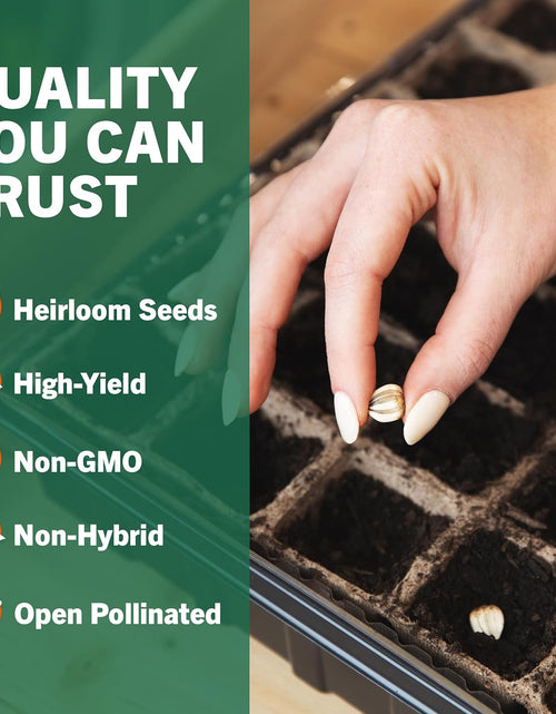 Load image into Gallery viewer, 15,000 Non GMO Heirloom Vegetable Seeds for Planting Vegetables and Fruits (32 Variety Pack) - Gardening Seed Starter Kit, Survival Gear Food, Gardening Gifts, Prepper Supplies
