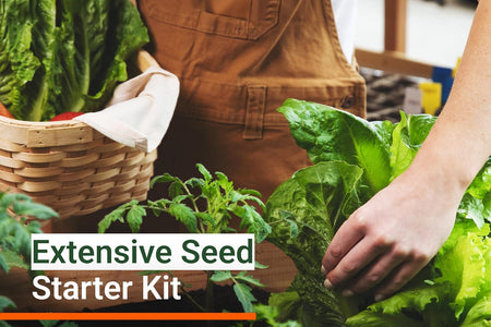 15,000 Non GMO Heirloom Vegetable Seeds for Planting Vegetables and Fruits (32 Variety Pack) - Gardening Seed Starter Kit, Survival Gear Food, Gardening Gifts, Prepper Supplies