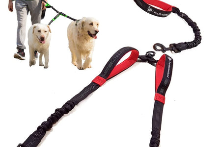 Exquisite Double Dog Leash for Large Dogs | Hands Free Dog Leash 2 Dogs | Waist Dog Leash for Large Dogs | Two Dog Leash for Large Dogs | Leash for Big Dogs | Hands Free Running Dog Leash