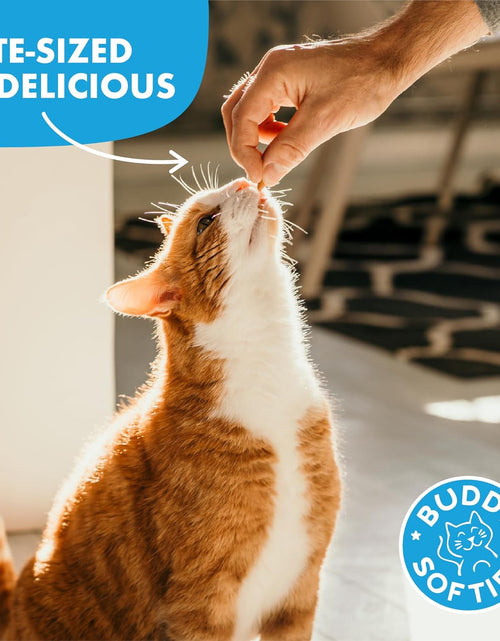 Load image into Gallery viewer, Grain Free Cat Treats, Soft &amp; Chewy, No Added Gluten, Wheat, Corn or Soy
