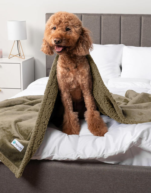 Load image into Gallery viewer, Waterproof Dog Blanket for Bed, Couch, Sofa | Waterproof Dog Bed Cover for Large Dogs, Puppies | Sherpa Fleece Pet Blanket Furniture Protector | Reversible Microfiber
