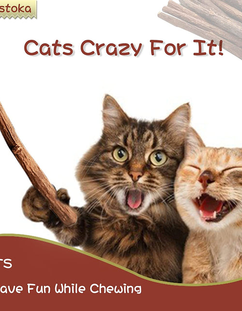 Load image into Gallery viewer, Cat Toys - Silvervine &amp; Matatabi Catnip Toys, 10PCS Indoor Kitty Chew Sticks &amp; Wand Toys for Bored Cats
