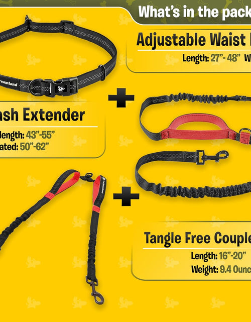 Load image into Gallery viewer, Exquisite Double Dog Leash for Large Dogs | Hands Free Dog Leash 2 Dogs | Waist Dog Leash for Large Dogs | Two Dog Leash for Large Dogs | Leash for Big Dogs | Hands Free Running Dog Leash
