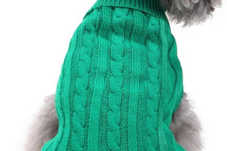 Small Dog Sweaters Knitted Pet Cat Sweater Warm Dog Sweatshirt Dog Winter Clothes Kitten Puppy Sweater (Xx-Small, Green)