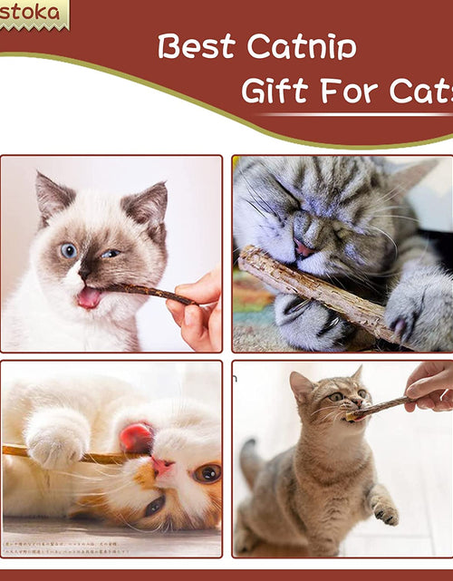 Load image into Gallery viewer, Cat Toys - Silvervine &amp; Matatabi Catnip Toys, 10PCS Indoor Kitty Chew Sticks &amp; Wand Toys for Bored Cats
