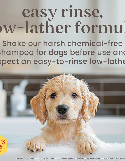 Load image into Gallery viewer, Tearless Puppy Shampoo with Buttermilk, 32Oz | Puppy &amp; Dog Shampoo | Cruelty Free, Paraben &amp; Sulfate Free Shampoo, Natural Shampoo for Dogs, Dog Wash, Dog Soap, Pet Shampoo
