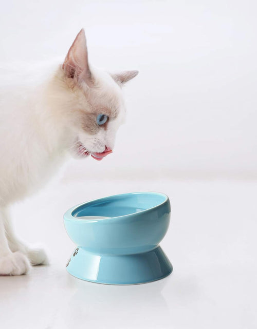 Load image into Gallery viewer, Elevated Cat Food Bowl, Raised Pet Food and Water Bowl, Cat and Small Dog Bowl, Tilted Ceramic Cat Water Bowl No Spill,15Oz, Dishwasher Safe
