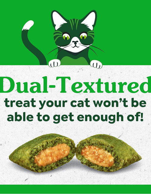 Load image into Gallery viewer, Feline SMARTBITES Healthy Skin and Fur, Chicken and Salmon Flavors, All Bag Sizes

