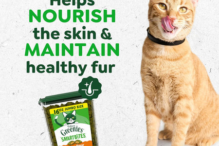 Feline SMARTBITES Healthy Skin and Fur, Chicken and Salmon Flavors, All Bag Sizes